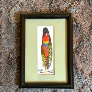 Framed Parrot Feather Art